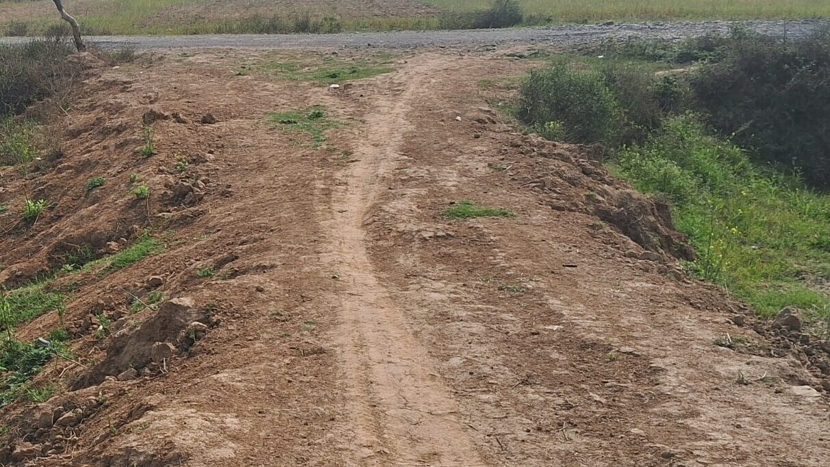 जालौन के नदीगांव ब्लॉक स्थित डाबर माधौगढ़ में खाली पड़े खेत जहाँ कागजों पर मनरेगा कार्य और मजदूरों की हाजिरी दिखाई गई है, लेकिन धरातल पर निर्माण कार्य गायब है।