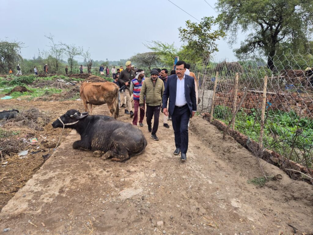 जिलाधिकारी राजेश कुमार पाण्डेय ग्राम रेवा में जलभराव का निरीक्षण करते हुए और अधिकारियों को सख्त निर्देश देते हुए