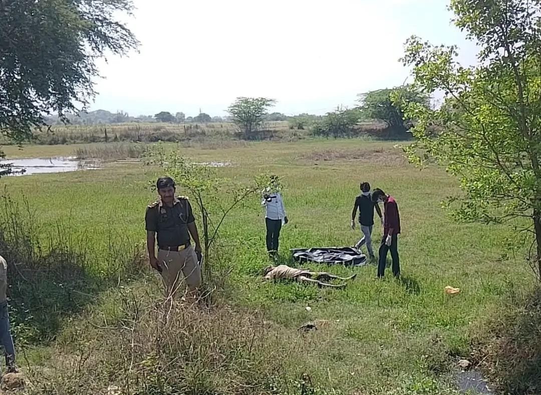 जालौन में खेत के पास जांच करती पुलिस टीम और घटनास्थल पर जमा भीड़ की विस्तृत तस्वीर