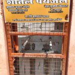 जालौन के वार्ड नंबर 3 स्थित जोशियाना मोहल्ले में प्राथमिक विद्यालय के पास लगा बंद पड़ा वाटरकूलर और कटा हुआ बिजली का कनेक्शन