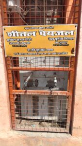 जालौन के वार्ड नंबर 3 स्थित जोशियाना मोहल्ले में प्राथमिक विद्यालय के पास लगा बंद पड़ा वाटरकूलर और कटा हुआ बिजली का कनेक्शन