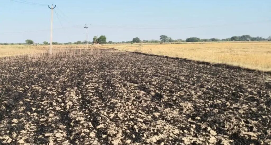 जालौन के सिरसा कलार में शॉर्ट सर्किट से जलकर राख हुई गेहूं की फसल के पास खड़ा हताश किसान परिवार