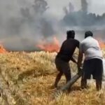 जालौन के कोंच में गेहूं के खेत में लगी भीषण आग और उठती लपटों को बुझाने का प्रयास करते ग्रामीण और दमकल कर्मी