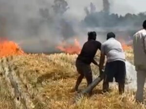 जालौन के कोंच में गेहूं के खेत में लगी भीषण आग और उठती लपटों को बुझाने का प्रयास करते ग्रामीण और दमकल कर्मी