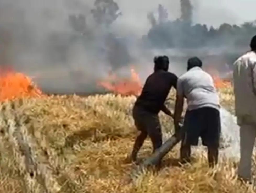 जालौन के कोंच में गेहूं के खेत में लगी भीषण आग और उठती लपटों को बुझाने का प्रयास करते ग्रामीण और दमकल कर्मी