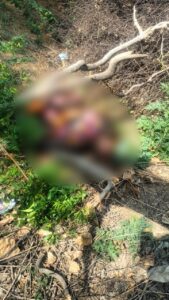 जालौन के कुठौंद में नहर किनारे झाड़ियों में मिला पूर्व प्रधान देव सिंह का सड़ा-गला शव, मौके पर जांच करती पुलिस और फोरेंसिक टीम।