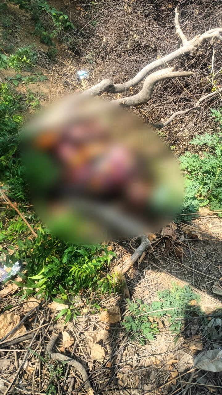 जालौन के कुठौंद में नहर किनारे झाड़ियों में मिला पूर्व प्रधान देव सिंह का सड़ा-गला शव, मौके पर जांच करती पुलिस और फोरेंसिक टीम।