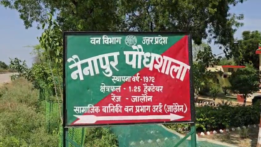 बुंदेलखंड में जालौन ने रचा इतिहास: फॉरेस्ट सर्वे रिपोर्ट में वन क्षेत्र बढ़ाने में मिला दूसरा स्थान, 6.41 वर्ग किमी बढ़ा जंगल news image बुंदेलखंड में जालौन ने रचा इतिहास: फॉरेस्ट सर्वे रिपोर्ट में वन क्षेत्र बढ़ाने में मिला दूसरा स्थान, 6.41 वर्ग किमी बढ़ा जंगल news image