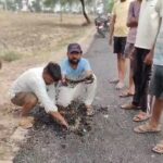 जालौन के ग्राम परधानी में ग्रामीण अपने हाथों से नई बनी डामर की सड़क की परत को उखाड़कर घटिया निर्माण कार्य का प्रदर्शन और विरोध कर रहे हैं।