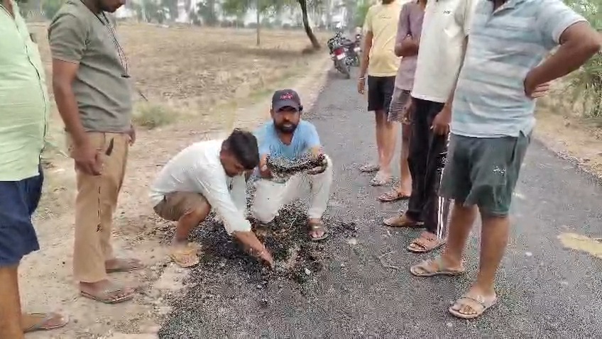 जालौन में विकास कार्यों की खुली पोल: निर्माण के कुछ दिन बाद ही हाथों से उखड़ने लगी नई सड़क, ग्रामीणों ने वीडियो वायरल कर खोला मोर्चा news image जालौन के ग्राम परधानी में ग्रामीण अपने हाथों से नई बनी डामर की सड़क की परत को उखाड़कर घटिया निर्माण कार्य का प्रदर्शन और विरोध कर रहे हैं।