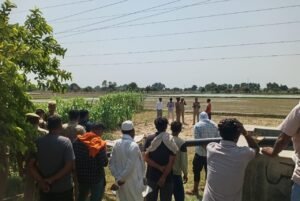 जालौन के गोहन थाना क्षेत्र के पृथ्वीपुरा गांव में ट्यूबवेल पर वृद्ध किसान की हत्या के बाद जांच पड़ताल करती उत्तर प्रदेश पुलिस और मौके पर जुटी ग्रामीणों की भीड़।