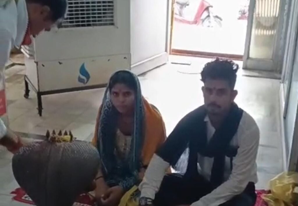 जालौन: मंदिर की घंटियों के बीच गूंजी प्रेम की शहनाई, प्रेमी जोड़े ने रचाई अनोखी शादी, वीडियो वायरल news image जालौन के संतोषी माता मंदिर में वैदिक रीति-रिवाजों के साथ विवाह बंधन में बंधते प्रेमी युगल सीपू और अनामिका।