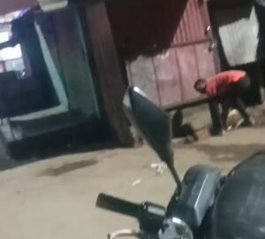 जालौन कोतवाली क्षेत्र के बस स्टैंड स्थित सिटी कॉम्प्लेक्स के सामने आपसी विवाद के बाद मारपीट का दृश्य, वायरल वीडियो से लिया गया स्क्रीनशॉट।