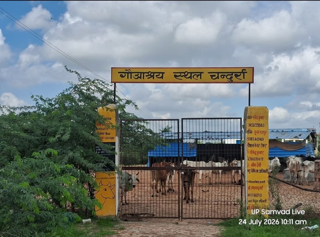 जालौन के चंदुर्रा गांव में गौशाला को शिफ्ट करने के विरोध में प्रदर्शन करते ग्रामीण
