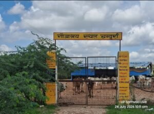 जालौन के चंदुर्रा गांव में गौशाला को शिफ्ट करने के विरोध में प्रदर्शन करते ग्रामीण