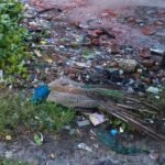 हाईटेंशन लाइन से टकराकर राष्ट्रीय पक्षी मोर की मौत, सूचना पर पहुंची वन विभाग की टीम जालौन के कोंच क्षेत्र में हाईटेंशन लाइन से टकराने के बाद मृत अवस्था में पड़ा राष्ट्रीय पक्षी मोर, मौके पर जांच करती वन विभाग की टीम।