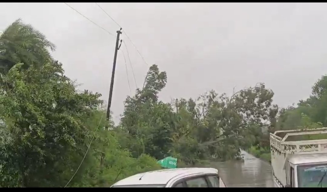 जालौन: उरई-कानपुर हाईवे पर भारी बारिश के बीच गिरा पेड़, यातायात बाधित