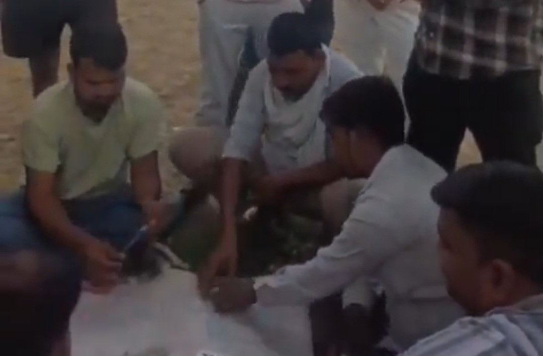 कुकरगांव में खुलेआम जुए का फड़, वायरल VIDEO से उठे पुलिस कार्रवाई पर सवाल